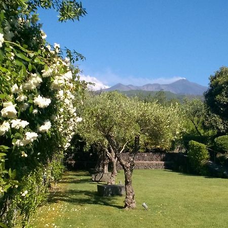 Casa Vacanze Prato Verde Zafferana Etnea Kültér fotó